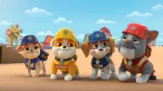 v.li.: Mix, Rubble, Wheeler, Charger v.li.: Mix, Rubble, Wheeler, Charger