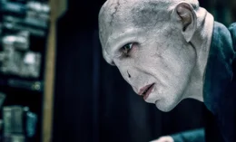 Ralph Fiennes (Lord Voldemort).