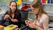 Bibliothekarin Lisa und Lena inventarisieren neue Bücher. Bibliothekarin Lisa und Lena inventarisieren neue Bücher.