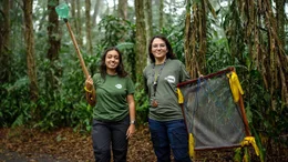 Lara Renzetti (re.) von der Organisation REFAUNA leitet die Auswilderung der Gelbbrust-Aras im Nationalpark Floresta da Tijuca in Rio de Janeiro.