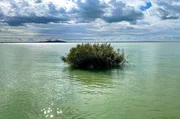 Im Herbst und Winter verwandelt sich der Balaton in eine romantische, unberührte Naturlandschaft. Im Herbst und Winter verwandelt sich der Balaton in eine romantische, unberührte Naturlandschaft.