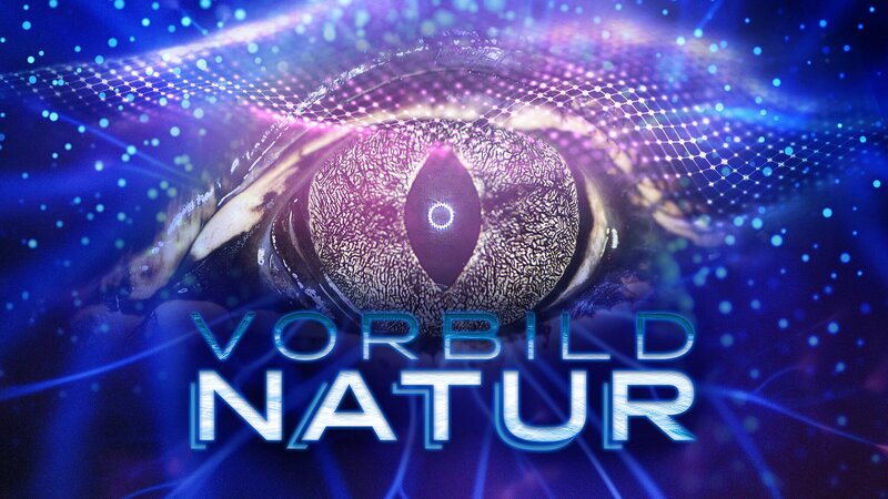 Vorbild Natur (USA, 2025)