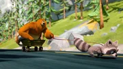 (v.li.): Grizzy, Waschbär (v.li.): Grizzy, Waschbär