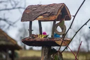 Die Papiervögel sind eingezogen. Die Papiervögel sind eingezogen.