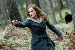 Emma Watson (Hermine Granger).