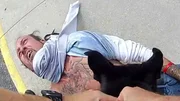 Die Hundestaffel hat den Verd&auml;chtigen gefasst.