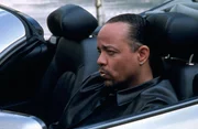 Jogger entdecken im Central Park die schrecklich zugerichtete Leiche einer Frau. Es handelt sich um eine Medizinerin, die haupts&auml;chlich mit HIV-positiven Menschen arbeitete. Detective Odafin Tutuola (Ice-T) und seine Kollegen suchen den M&ouml;rder.