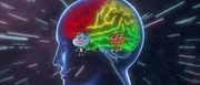 v.li.: Gumball, Darwin