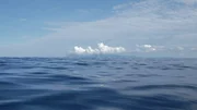 Sea. Sea.