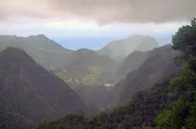 Im Nordwesten von Madeira befindet sich der Lorbeerwald Fanal: Der nebelverhangene und niederschlagsreiche "Feenwald" ist bei Touristen beliebt.