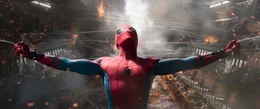 Spider-Man (Tom Holland)
