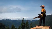 Hand Faller Rob Winger looks upon the beauty on the Pacific Northwest from atop a giant stump after his most recent treefall. Hand Faller Rob Winger looks upon the beauty on the Pacific Northwest from atop a giant stump after his most recent treefall.