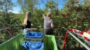 Obstbauer Wolfgang und Lena ernten &Auml;pfel in der Baumkrone.