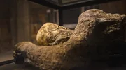 Konserviert in Vulkanasche: Wissenschaftlerinnen und Wissenschaftler erforschen, wie die Menschen in Pompeji gestorben sind, aber auch wie sie gelebt haben. Konserviert in Vulkanasche: Wissenschaftlerinnen und Wissenschaftler erforschen, wie die Menschen in Pompeji gestorben sind, aber auch wie sie gelebt haben.