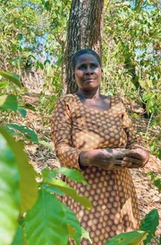 Lounia Zephania ist Kaffeefarmerin in einem Dorf beim Ntchisi Forest im Zentrum Malawis. Lounia Zephania ist Kaffeefarmerin in einem Dorf beim Ntchisi Forest im Zentrum Malawis.