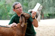 ARD/rbb PANDA, GORILLA & CO., TEIL 234, "Geschichten aus dem Zoo Berlin und dem Tierpark Berlin ", am Freitag um 16:10 Uhr im ERSTEN. Reviertierpfleger René Walther bei der Fütterung einer indischen Langohrziege im Tierpark Berlin. ARD/rbb PANDA, GORILLA & CO., TEIL 234, "Geschichten aus dem Zoo Berlin und dem Tierpark Berlin ", am Freitag um 16:10 Uhr im ERSTEN. Reviertierpfleger René Walther bei der Fütterung einer indischen Langohrziege im Tierpark Berlin.