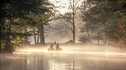 Der Spreewald im Morgennebel. Der Spreewald im Morgennebel.