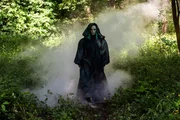 Es muss einen Verräter am Hof geben, der Elizabeth nach dem Leben trachtet. Doch wer ist dieser Spiderweb? Es muss einen Verräter am Hof geben, der Elizabeth nach dem Leben trachtet. Doch wer ist dieser Spiderweb?