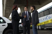 Gemeinsam versuchen sie einen schwierigen Fall zu lösen: Lt. Lee Havercamp (CCH Pounder, l.), Charlie (David Krumholtz, r.) und Don (Rob Morrow, M.) ... Gemeinsam versuchen sie einen schwierigen Fall zu lösen: Lt. Lee Havercamp (CCH Pounder, l.), Charlie (David Krumholtz, r.) und Don (Rob Morrow, M.) ...