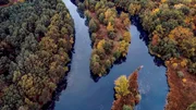 Flussarme des Spreewaldes von oben. Flussarme des Spreewaldes von oben.