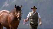 Der Grimming, der höchste freistehende Berg Europas, bildet die beeindruckende Kulisse der steirischen Gemeinde Sankt Martin. An seinen steilen Hängen hat sich das traditionelle alpine Leben über die Generationen erhalten – nicht nur die Arbeitstechniken der Alten, sondern auch ihre tradierte Wertewelt, die Liebe und das Verständnis der Natur sowie der Sinn für die Gemeinschaft. Im Bild: Ernst Maderebner mit seinem Pferd. Der Grimming, der höchste freistehende Berg Europas, bildet die beeindruckende Kulisse der steirischen Gemeinde Sankt Martin. An seinen steilen Hängen hat sich das traditionelle alpine Leben über die Generationen erhalten – nicht nur die Arbeitstechniken der Alten, sondern auch ihre tradierte Wertewelt, die Liebe und das Verständnis der Natur sowie der Sinn für die Gemeinschaft. Im Bild: Ernst Maderebner mit seinem Pferd.
