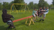 Jamey, Lina und ihre Freunde testen, wie stark Gorillas sind. Jamey, Lina und ihre Freunde testen, wie stark Gorillas sind.