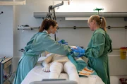 Aufwändiger Verbandwechsel: Zwei Pflegerinnen versorgen die verbundenen Gliedmaßen eines schwer verletzten Patienten. Aufwändiger Verbandwechsel: Zwei Pflegerinnen versorgen die verbundenen Gliedmaßen eines schwer verletzten Patienten.