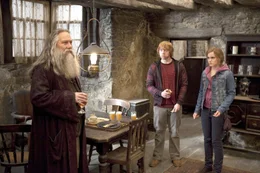 (v.li.): Ciar&aacute;n Hinds (Aberforth Dumbledore), Rupert Grint (Ron Weasley), Emma Watson (Hermine Granger).