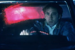 Nachdem Michael (Nicolas Cage) in einer Nacht f&uuml;r zwei Mordauftr&auml;ge 15.000 Dollar kassiert hat, muss er schnellstm&ouml;glich aus dem Provinznest fliehen ...