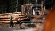 Bush Mechanic Adrian Bailey inspects a burnt yarder at the Cypress Creek Logging worksite. Bush Mechanic Adrian Bailey inspects a burnt yarder at the Cypress Creek Logging worksite.