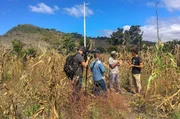 In der N&auml;he von Chiapas trifft Corentin (re.) eine Organisation, die versucht, uralte landwirtschaftliche Verfahren wieder einzuf&uuml;hren &ndash; etwa die Mischkultur Milpa, bei der Mais, Bohnen und K&uuml;rbisse gemeinsam angebaut werden.