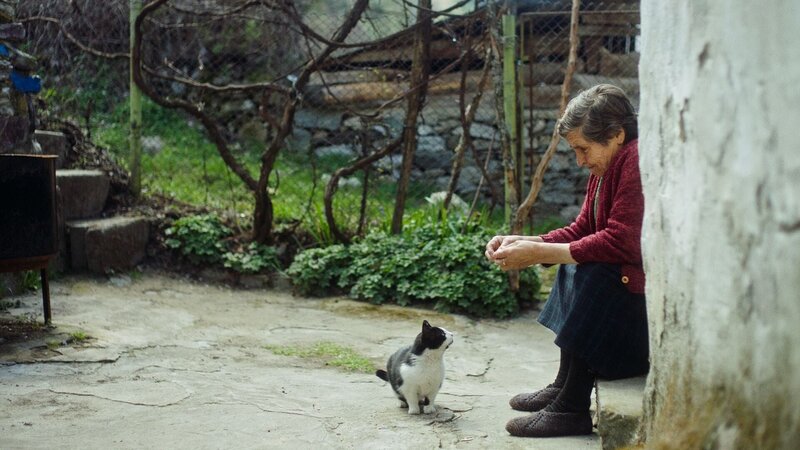 Bulgarien - Das Dorf der magischen Tiere – Drachen, Katzen und Vampire - Auf dem Dach des Balkans (D, 2024)