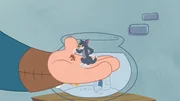 v.li.: Jerry, Tom