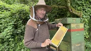 Imker Markus Bollen zeigt eine Wabe an einem seiner Bienenstöcke und warnt vor den tödlichen Folgen der invasiven Hornissenart für Bienenvölker. Imker Markus Bollen zeigt eine Wabe an einem seiner Bienenstöcke und warnt vor den tödlichen Folgen der invasiven Hornissenart für Bienenvölker.
