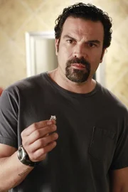 Kommt mit Gabrielles neuen Job nicht zurecht: Carlos (Ricardo Antonio Chavira) ... Kommt mit Gabrielles neuen Job nicht zurecht: Carlos (Ricardo Antonio Chavira) ...