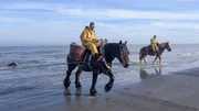 Am Strand von Ostdünkirchen an der belgischen Küste wird noch ein uraltes Handwerk betrieben: das Fischen zu Pferd. Am Strand von Ostdünkirchen an der belgischen Küste wird noch ein uraltes Handwerk betrieben: das Fischen zu Pferd.