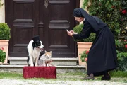 Schwester Felicitas (Karin Gregorek) macht ein Video von Herrn Hund und Katze Kitty. Schwester Felicitas (Karin Gregorek) macht ein Video von Herrn Hund und Katze Kitty.