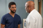 Unter vier Augen, v.li.: Anthony Hill als Dr. Winston Ndugu, James Pickens Jr. als Dr. Richard Webber. Unter vier Augen, v.li.: Anthony Hill als Dr. Winston Ndugu, James Pickens Jr. als Dr. Richard Webber.