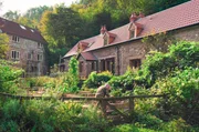Robin, Laura und ihre Söhne leben in einem alten Cottage auf dem Land – umgeben von einem der artenreichsten Gärten Großbritanniens. Robin, Laura und ihre Söhne leben in einem alten Cottage auf dem Land – umgeben von einem der artenreichsten Gärten Großbritanniens.