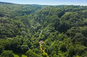Versteckt im walisischen Wye-Tal liegt ein idyllischer Waldgarten, der eine erstaunliche Artenvielfalt beherbergt. Versteckt im walisischen Wye-Tal liegt ein idyllischer Waldgarten, der eine erstaunliche Artenvielfalt beherbergt.