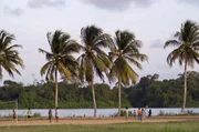 Franz&ouml;sisch-Guayana besitzt nicht nur eine der artenreichsten Faunen der Welt, sondern auch eine Bev&ouml;lkerung mit bewegter Geschichte und kultureller Vielfalt.