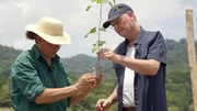 Wie sieht ein Regenwald aus, der dem Klimawandel trotzt? Das wird in Panama in vielen Projekten erforscht.