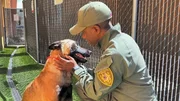Hund und Polizeibeamter der K-9-Einheit von Las Vegas