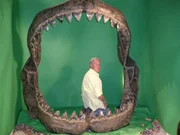 Aus National Geographic Channel's Prehistoric Predators, Megalodon Rekonstruktion, Arizona State University. Aus National Geographic Channel's Prehistoric Predators, Megalodon Rekonstruktion, Arizona State University.