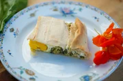 Torta Pasqualina ist ein klassischer herzhafter Kuchen aus Ligurien. Torta Pasqualina ist ein klassischer herzhafter Kuchen aus Ligurien.