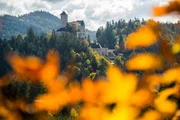 Burg Rappottenstein im herbstlichen Waldviertel. Burg Rappottenstein im herbstlichen Waldviertel.