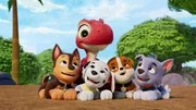 Unten, v.li.: Chase, Marshall, Rubble, Rocky