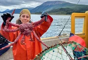 Eine K&ouml;nigskrabbe aus Patagonien &ndash; sie z&auml;hlt zu den wertvollen, aber gef&auml;hrdeten Meeresbewohnern der Region. Liz Consentino f&auml;ngt sie im Beagle-Kanal.