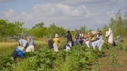 Die Teilnehmer von &bdquo;Gem&uuml;se auf Rezept&ldquo; beim Ausflug zum Acker der Solidarischen Landwirtschaft