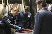 BONES: Brennan (Emily Deschanel, L) fischt in der BONES-Folge &bdquo;The Critic in the Cabernet&ldquo; Teile einer verwesten Leiche aus einem Weinfass in einem Weinberg. Au&szlig;erdem im Bild: David Greenman (C) und Jeff Yagher (R).